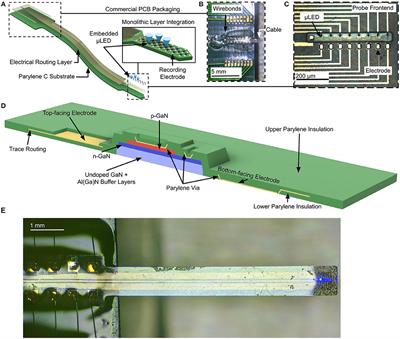 High Density, Double-Sided, Flexible Optoelectronic Neural Probes With Embedded μLEDs